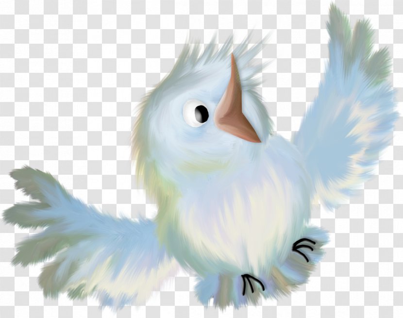 Bird Of Prey TinyPic - De - Birds Transparent PNG