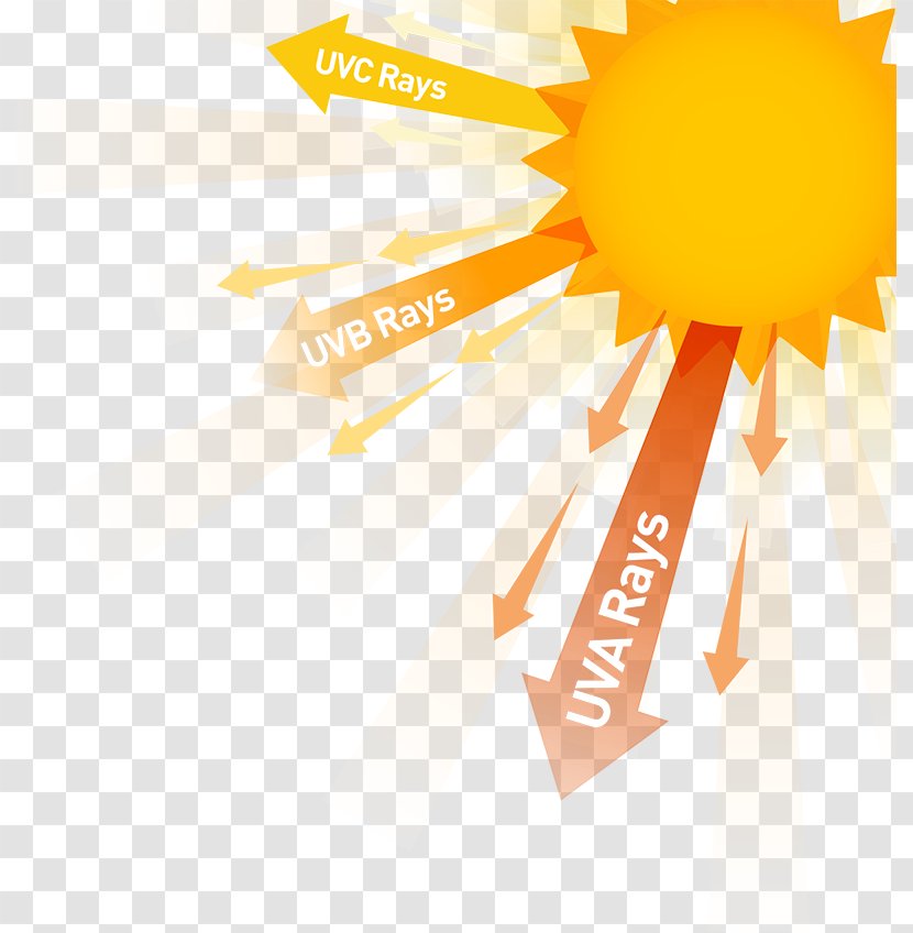 Health Effects Of Sunlight Exposure Ultraviolet Radiation - Skin Cancer Transparent PNG