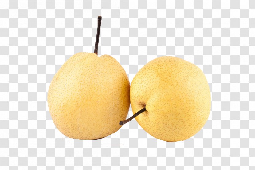 Asian Pear Lemon Pyrus Xd7 Bretschneideri Nivalis - Citrus Junos - Fresh Pears Transparent PNG