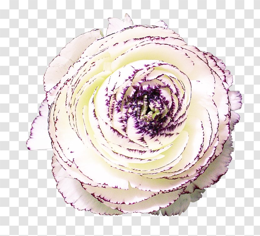 Cut Flowers RGB Color Model - Blume - Flower Transparent PNG