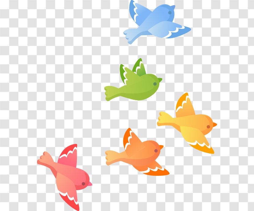 Lovebird - Cartoon - Cute Bird Transparent PNG