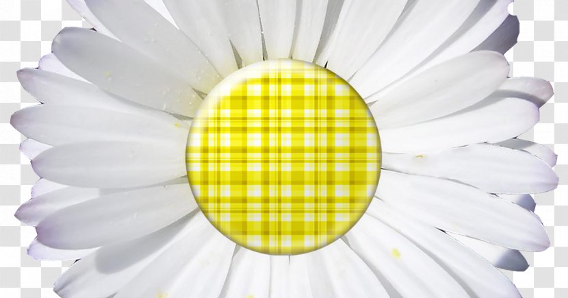 Common Daisy Digital Scrapbooking Paper - Embellishment - Plaid Transparent PNG