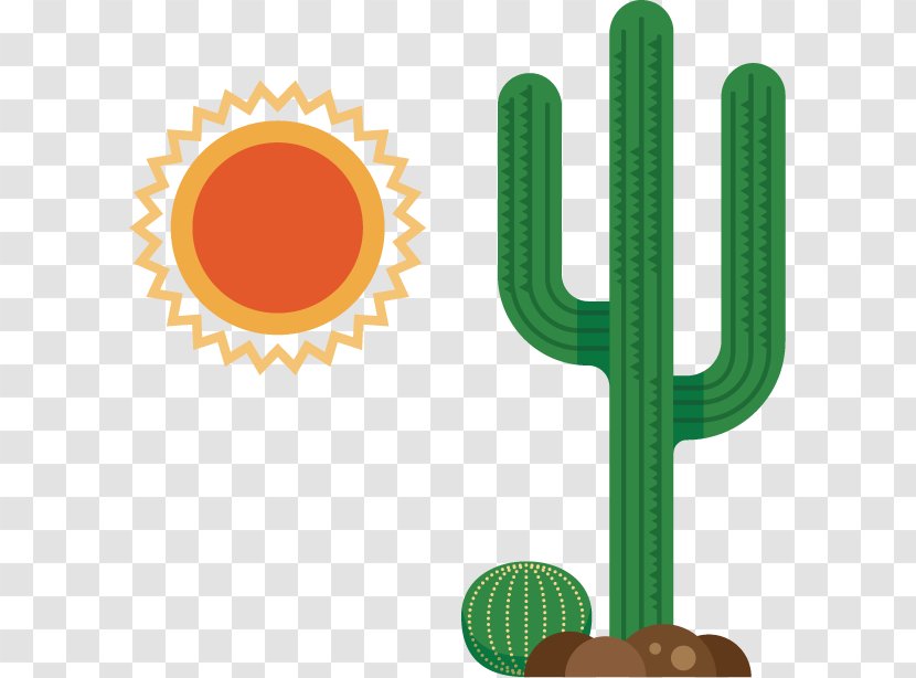 Information Icon - Mexican Cactus Transparent PNG