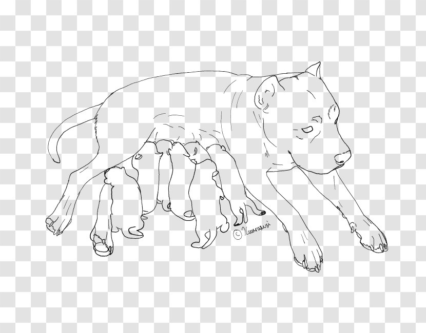 American Pit Bull Terrier Line Art Drawing Puppy - Big Cats - Pitbull Transparent PNG