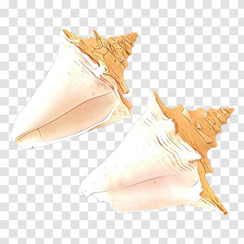 Seashell Conch - Drawing - Shankha Transparent PNG
