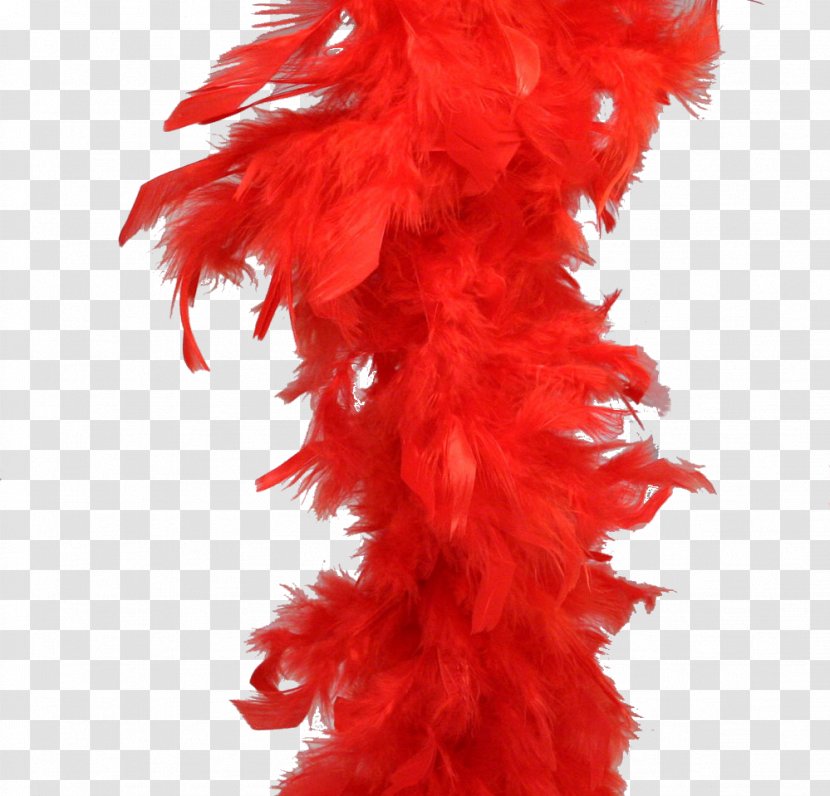 Feather Boa Constrictor Clothing Accessories - Color Transparent PNG