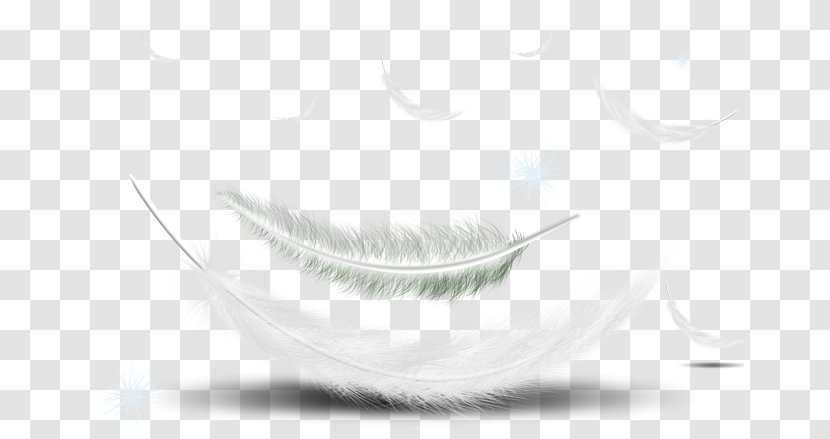 Feather Black And White Download Clip Art - Stock Photography Transparent PNG