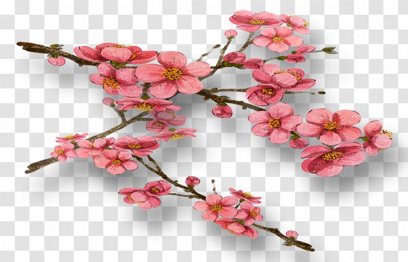 Common Plum Flower Blossom - Spring Transparent PNG