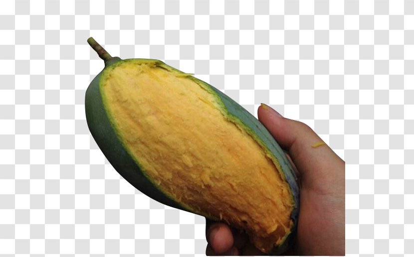 Mango Qingpi Avocado Download - Guangxi - Ripped Skin Transparent PNG