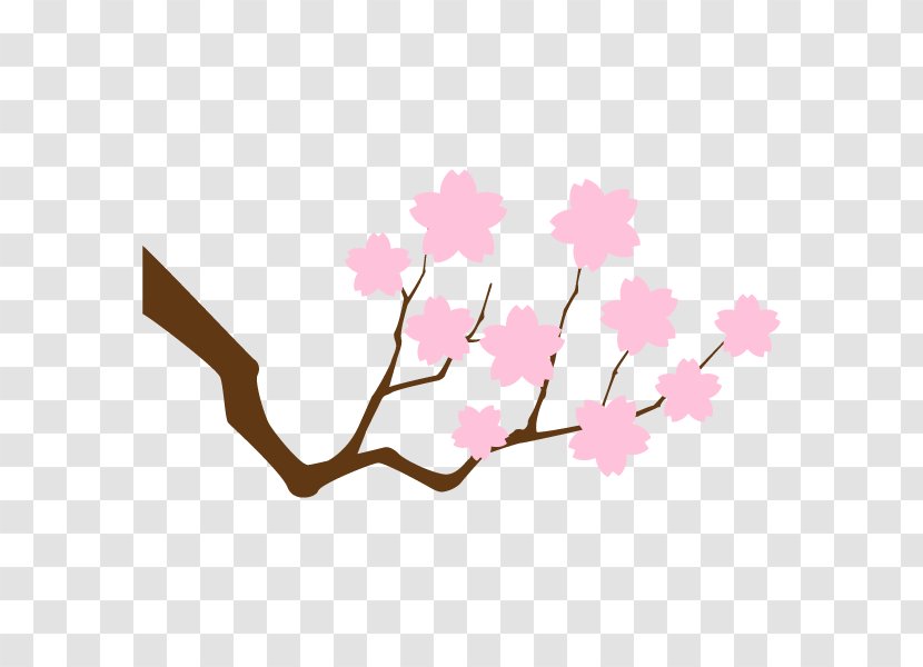 Cherry Blossom Design ST.AU.150 MIN.V.UNC.NR AD Clip Art Leaf - M - Tree Transparent PNG