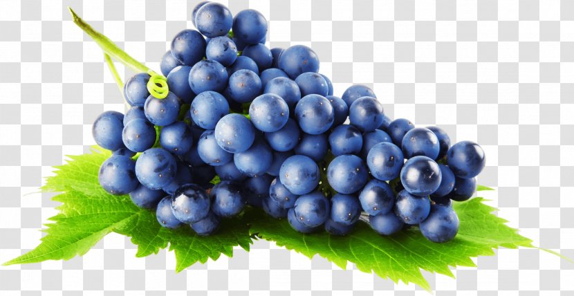 Common Grape Vine Concord Pie - Blackberry - Grapes Transparent PNG