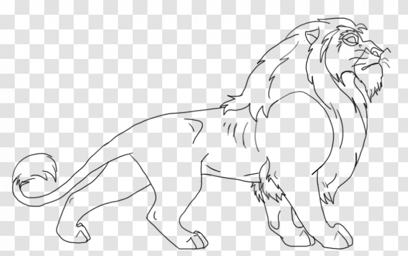 Whiskers Cat Line Art Tail Wildlife - Lion Transparent PNG