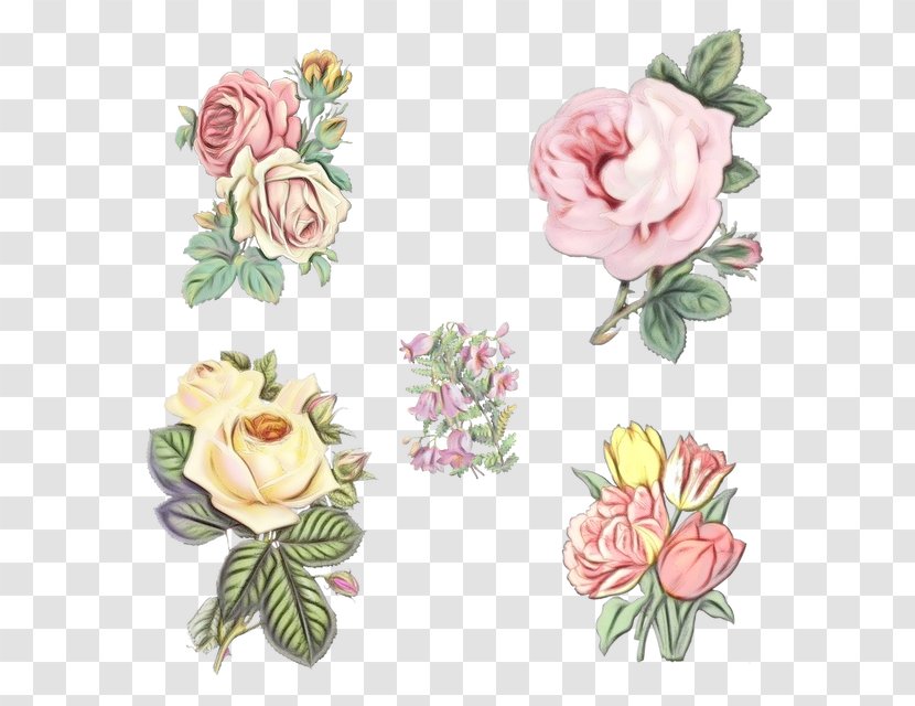 Pink Flowers Background - Flower Bouquet - Prickly Rose Rosa Dumalis Transparent PNG