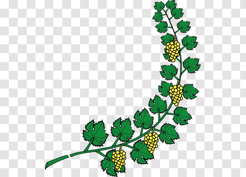 Coat Of Arms Heraldry Blazon Grape Vine - Artwork - BAY LEAVES Transparent PNG