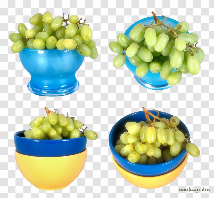 Fruit Common Grape Vine - Digital Image - Grapes Transparent PNG