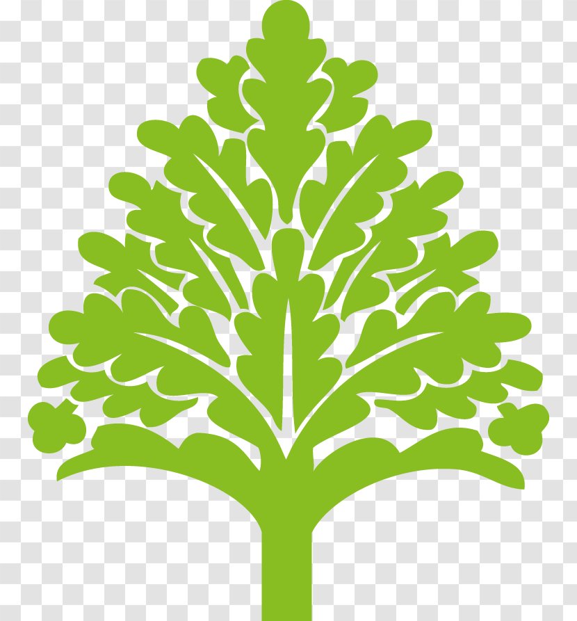 Vector Graphics A Parliament Of Spies Clip Art Tree Euclidean - Plant - 森林 Transparent PNG