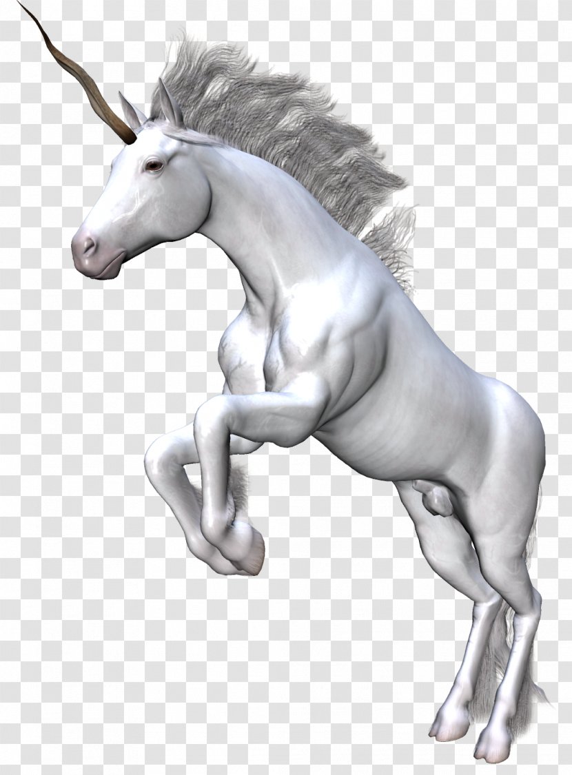 Unicorn Horse Fantasy Clip Art - Mane - Unicorns Transparent PNG