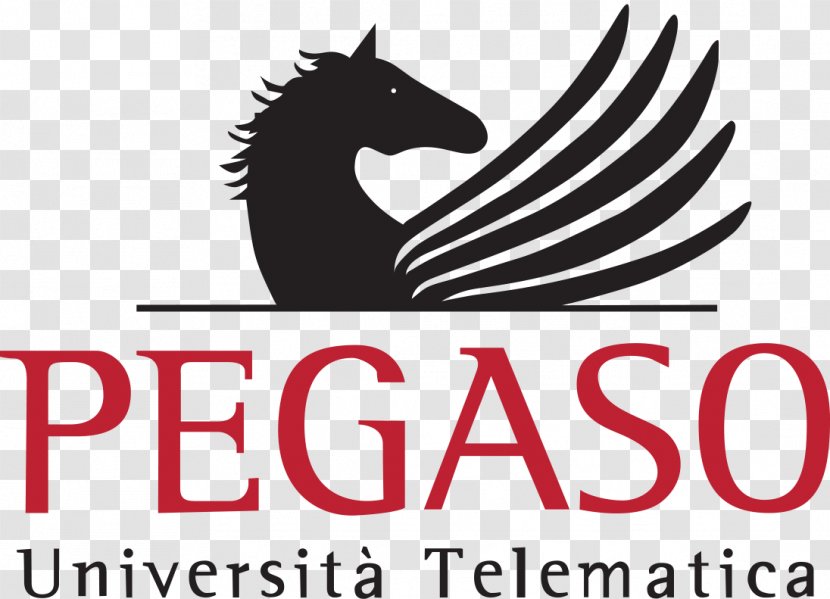 Università Degli Studi Pegaso University Of Turin Fernuniversität Higher Education - Logo - Laurea Transparent PNG
