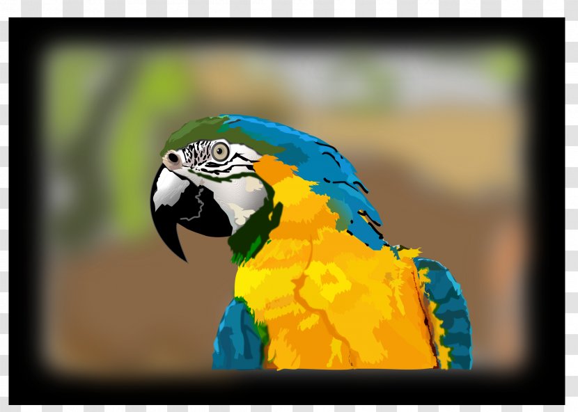 Blue-and-yellow Macaw Clip Art - Blueandyellow - Beak Transparent PNG