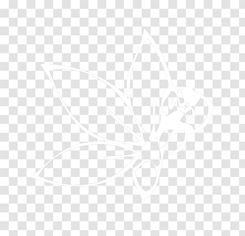 Butterfly White Line 2M Font - Moth Transparent PNG