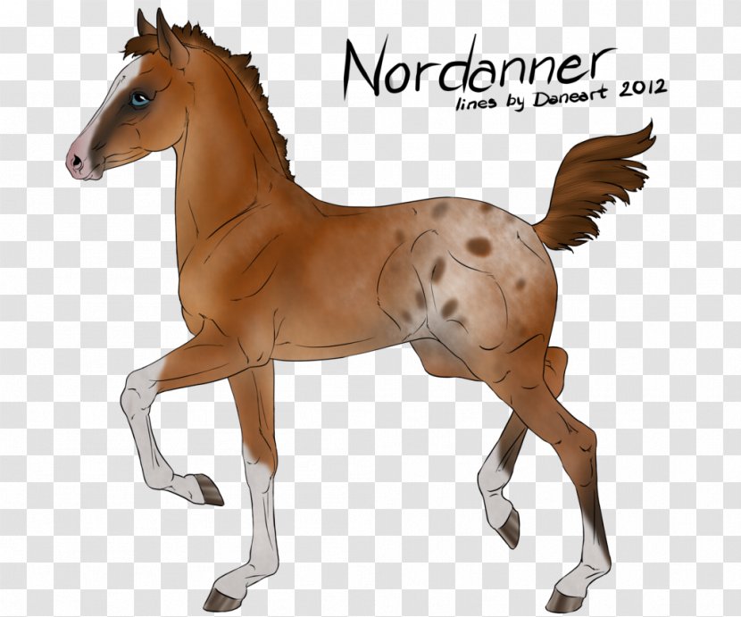Mustang Foal Colt Mare Stallion - Gray Transparent PNG