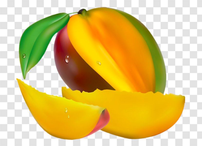 Mango Fruit Tree Plant Juice - Vegetable Transparent PNG