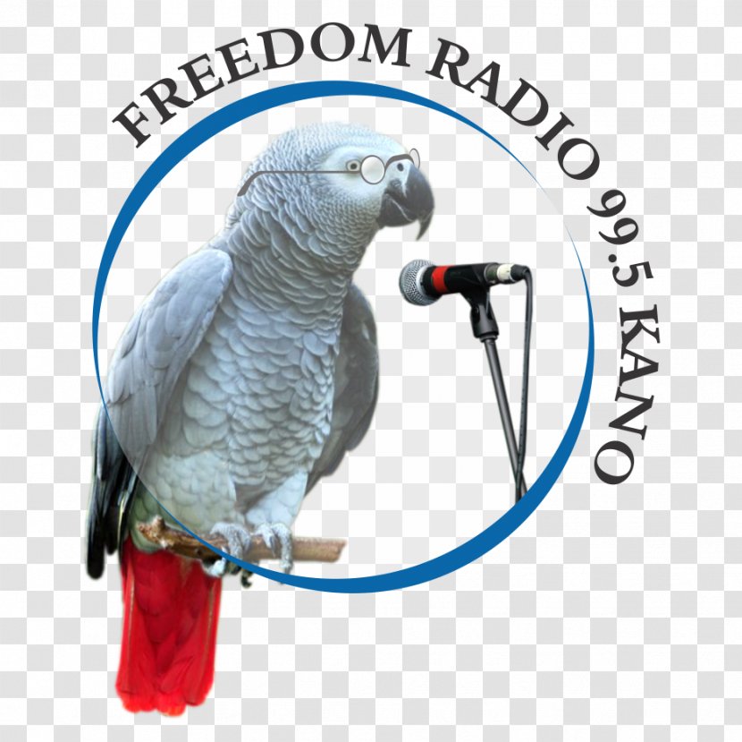 Internet Radio Freedom Kano FM Broadcasting BBC Hausa Transparent PNG