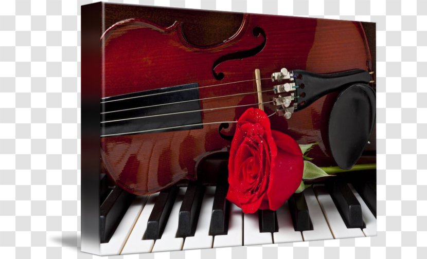 Violone Violin Cello Viola Piano - Flower Transparent PNG