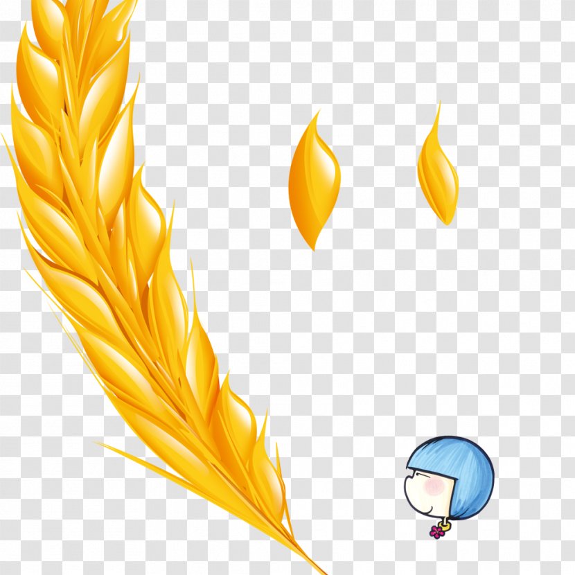 Gold - Yellow - Golden Wheat Transparent PNG