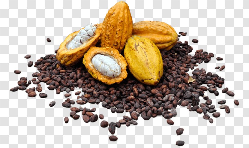 Cocoa Bean Solids Raw Chocolate Foodism Transparent PNG