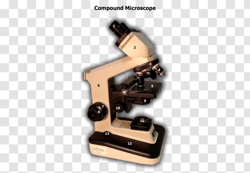 Microscope Angle - Optical Instrument Transparent PNG