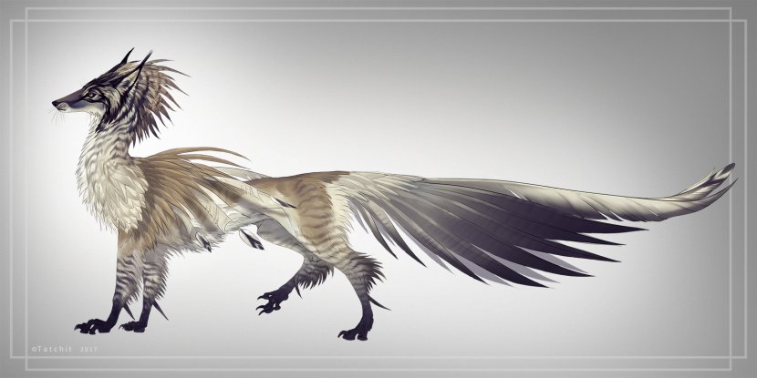 Feather Digital Art Work Of Wallpaper - Lynx Transparent PNG
