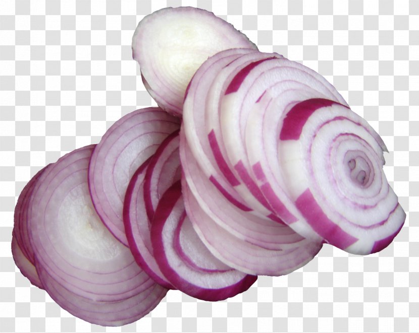 Shallot Scallion Icon - Sliced Onion Transparent PNG