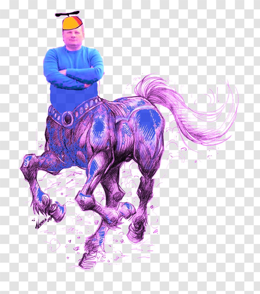 Mustang Stallion Unicorn Halter Illustration - Horse Transparent PNG
