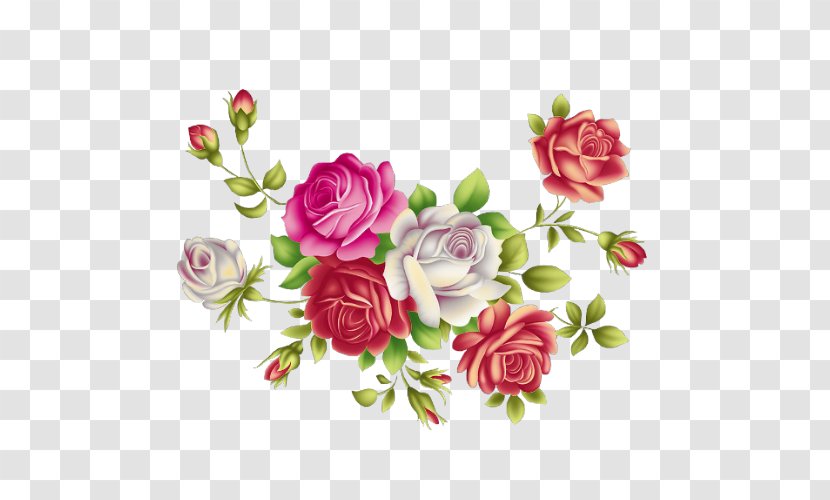 Garden Roses Floral Design Centifolia Paper Flower Transparent PNG