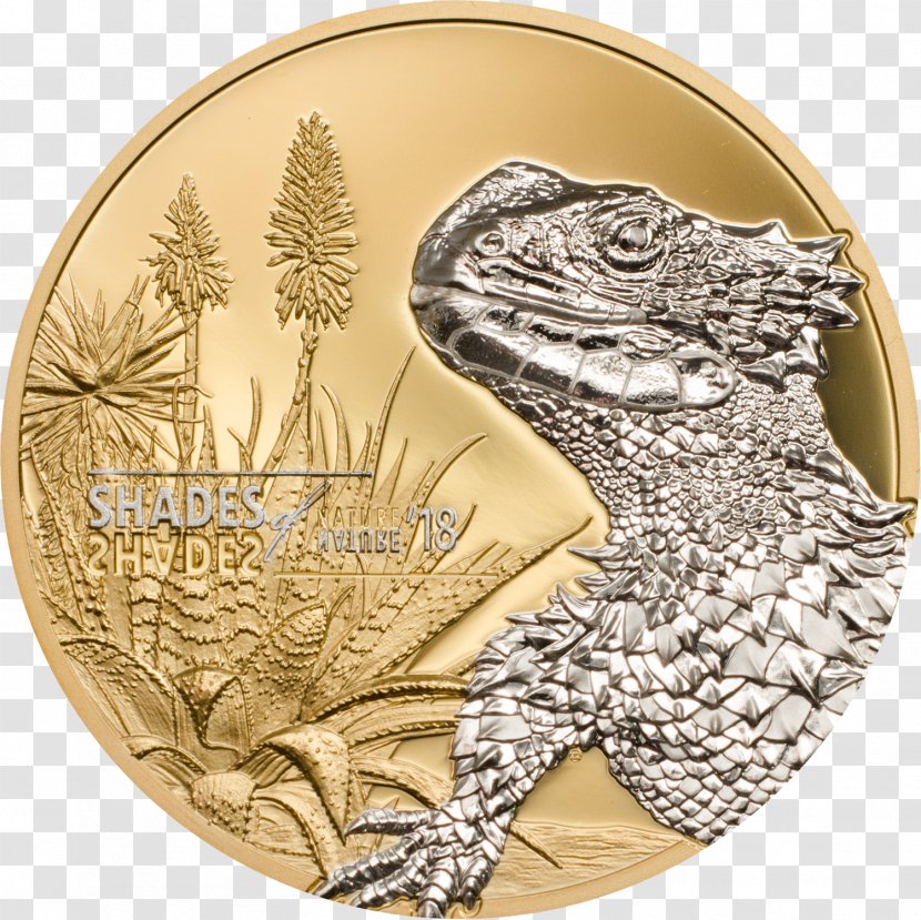 Giant Girdled Lizard Silver Coin Gold Transparent PNG