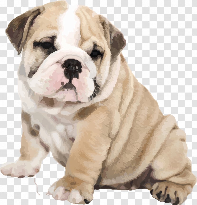 American Bulldog Old English IPhone 6S Puppy - British Bulldogs - Vector Cute Pug Transparent PNG