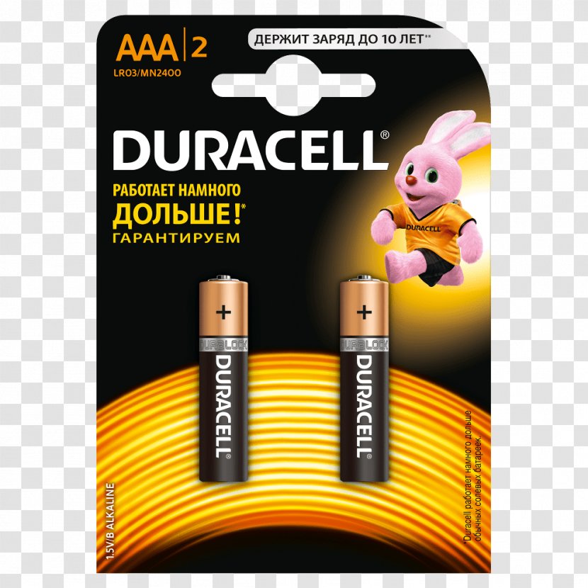 AAA Battery Duracell Electric Nine-volt - Charger Transparent PNG