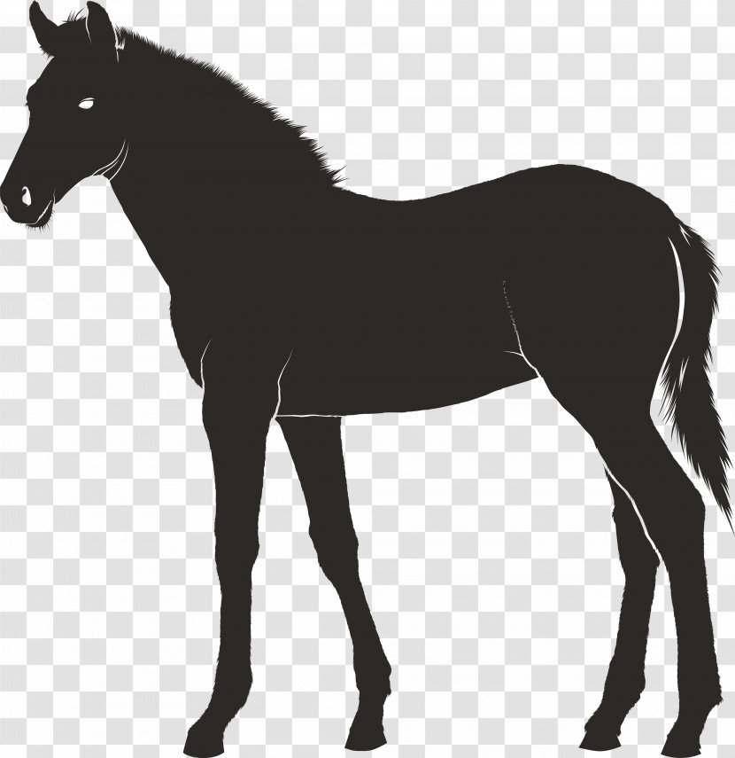 Foal Konik Pony - Horse Supplies - Carousel Vector Transparent PNG