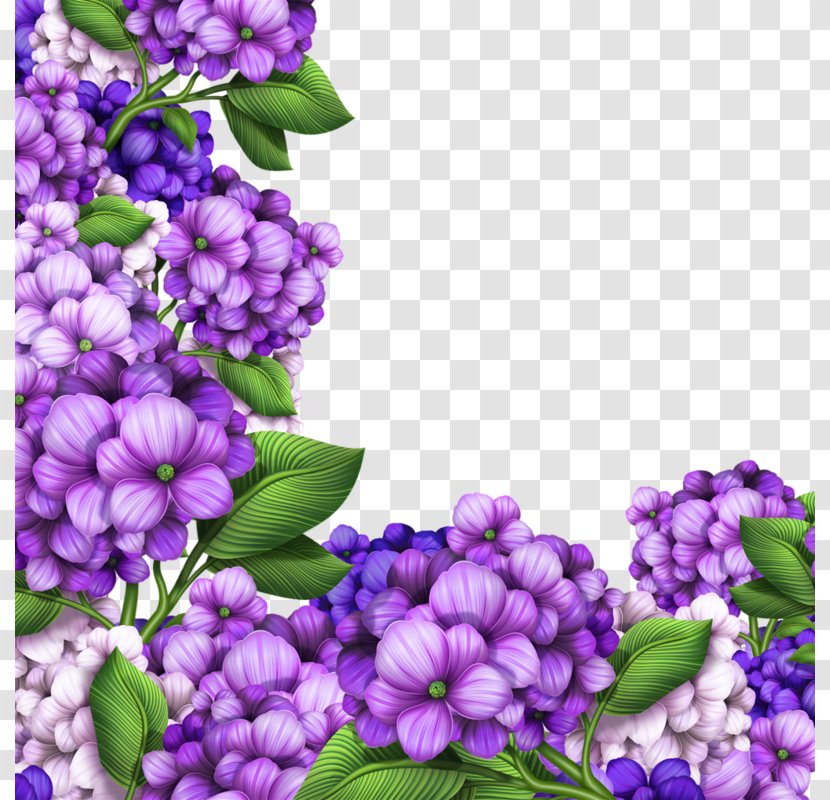 Hydrangea Flower Photography Royalty-free Clip Art - Banco De Imagens - Beautiful Purple Border Transparent PNG