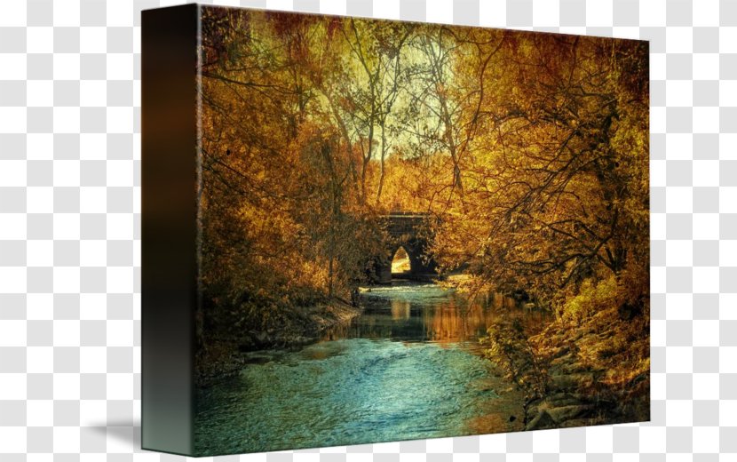 Gallery Wrap Painting Picture Frames Autumn Canvas - Golden Glow Transparent PNG