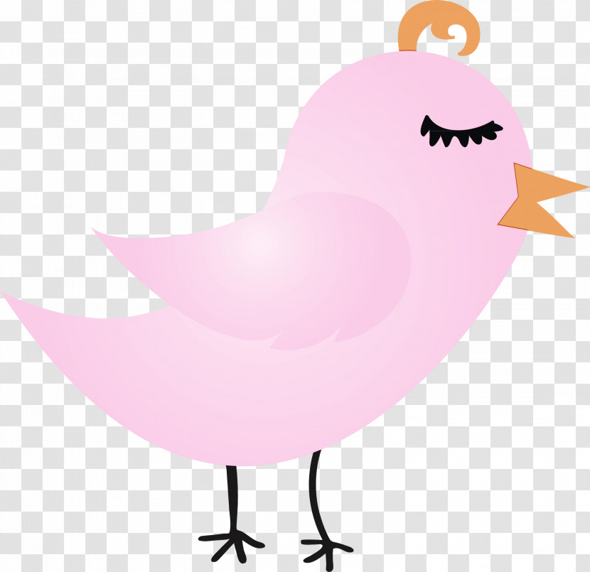 Pink Bird Cartoon Beak Water Bird Transparent PNG