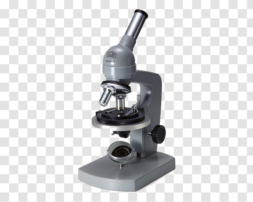 No Research Phyllanthus Urinaria Ni - Science - Grey Microscope Transparent PNG