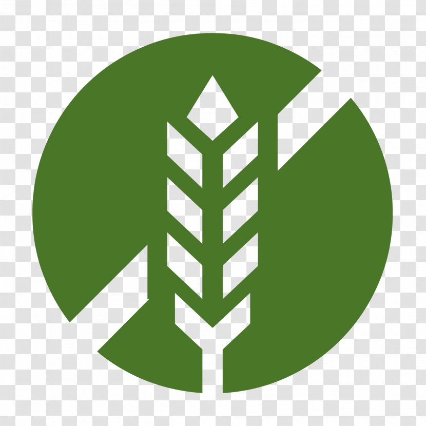 Logo Herbalism Tincture Food - Herbal Store - Leaf Transparent PNG