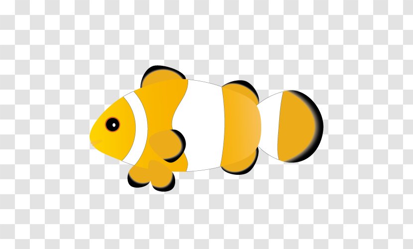 Web Design Ocellaris Clownfish Nemo Transparent PNG