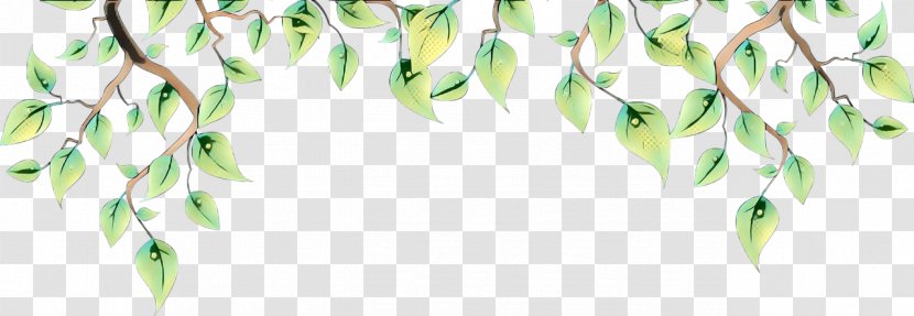 India Flower Background - Costume - Plant Transparent PNG