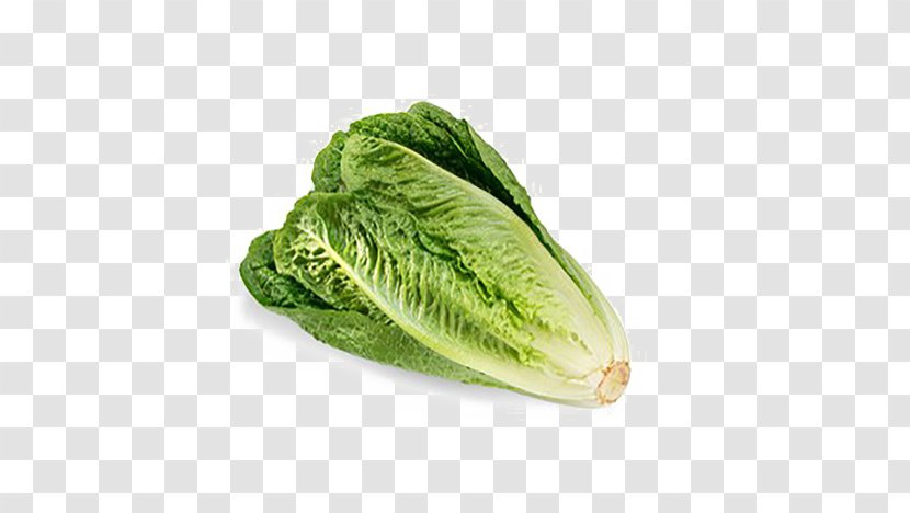 Romaine Lettuce Canada 2011 Germany E. Coli O104:H4 Outbreak - Food And Drug Administration Transparent PNG