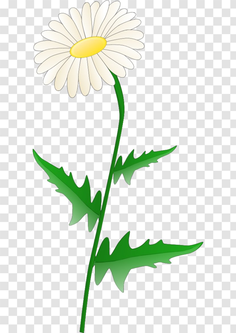 Free Content Common Daisy Clip Art - Dandelion - Flower Clipart Transparent PNG