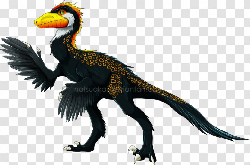Beak Velociraptor Wildlife Fauna Feather - Bird Transparent PNG