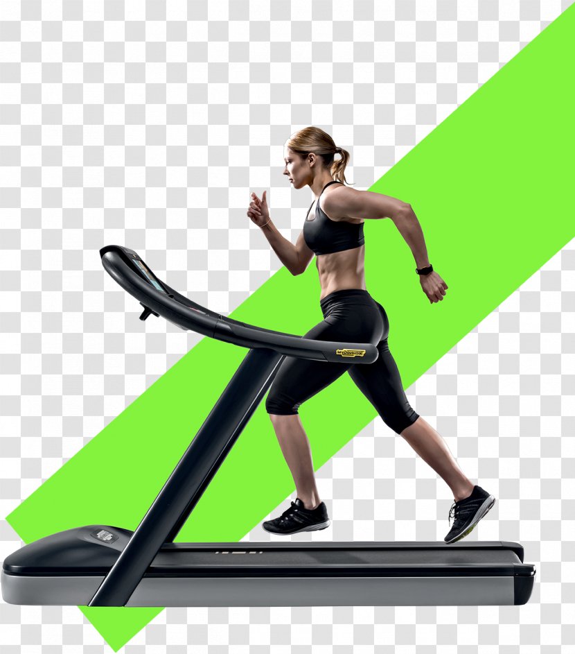 Exercise Equipment Physical Machine Fitness Centre - Weightlifting - Gymnastics Transparent PNG